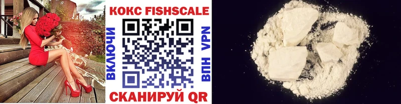 COCAIN Fish Scale  Купить где  Гороховец 