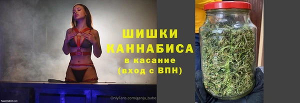 амф Козловка