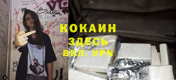 дурь Коряжма