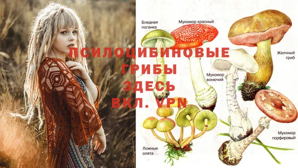 амф Козловка