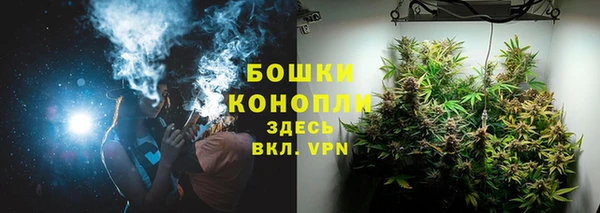 амф Козловка